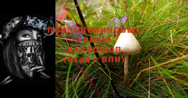 Псилоцибиновые грибы Psilocybine cubensis  как найти   Агидель 